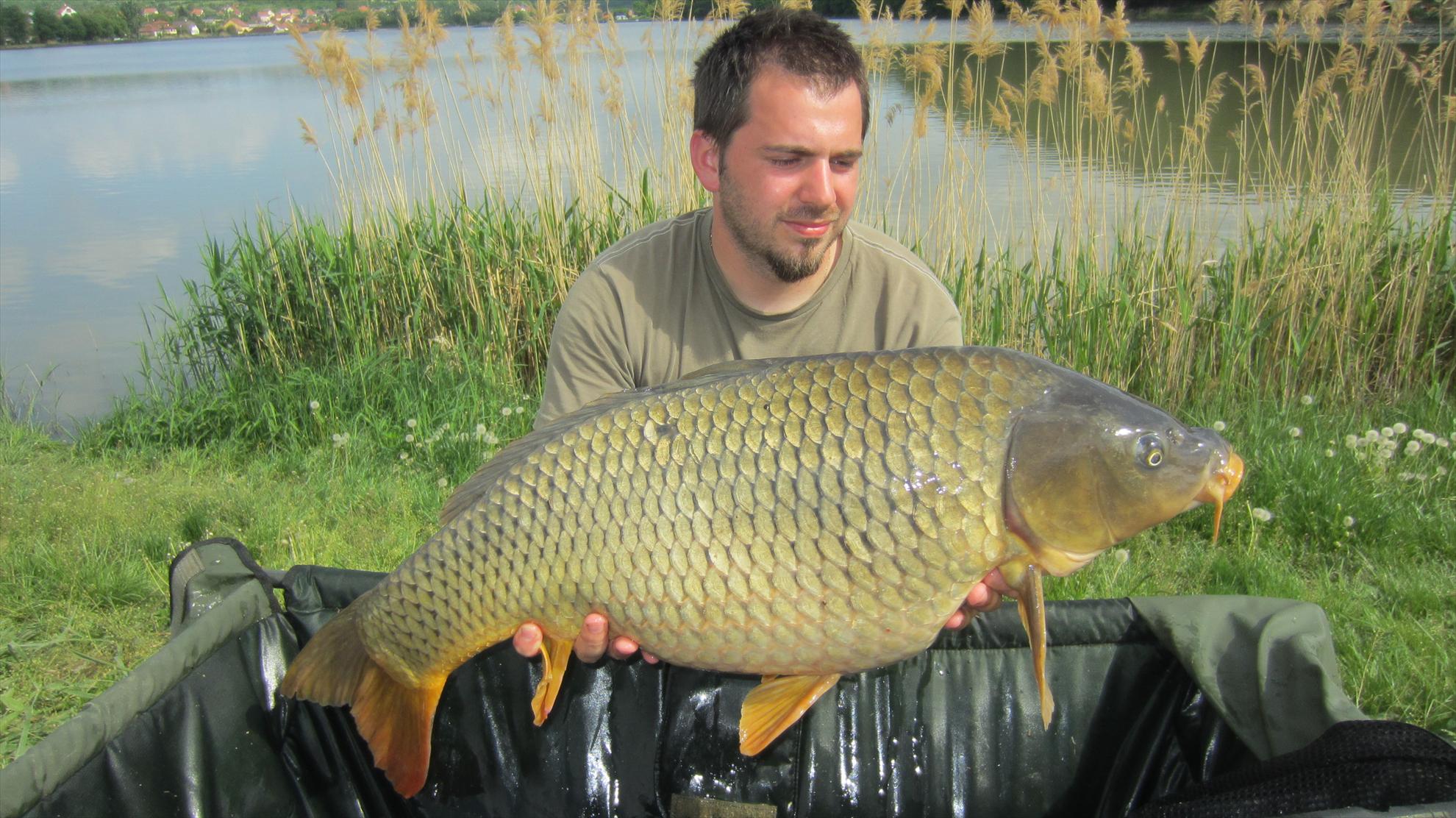 Harsany 1 - 5 mai. - img2626.JPG